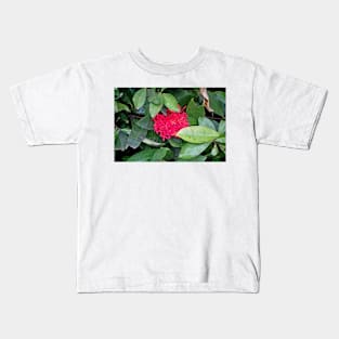 Tropical Plantation Maui Study 17 Kids T-Shirt